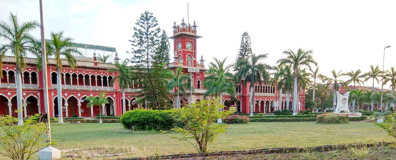 College Banner